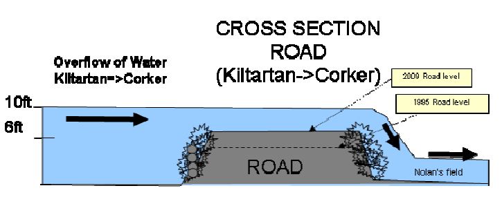 crosssection